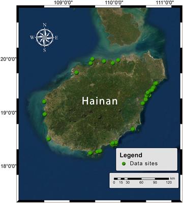 Mapping seagrass habitats of potential suitability using a hybrid machine learning model